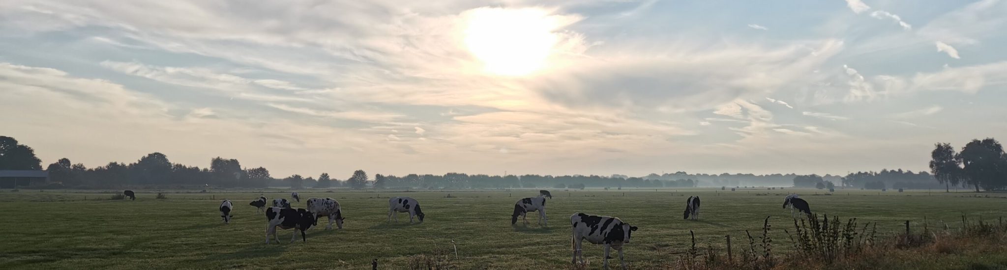 verwijzing informatie huisarts